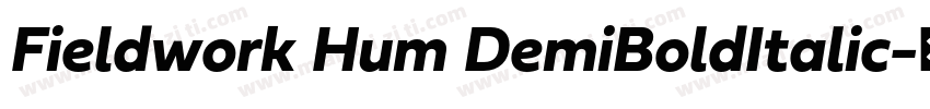 Fieldwork Hum DemiBoldItalic字体转换